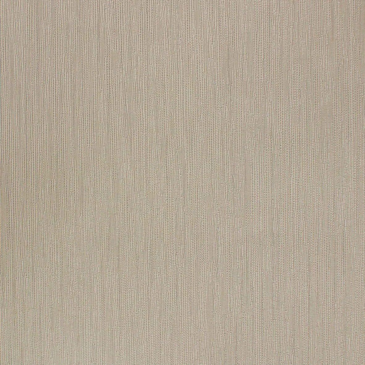 Angel Duvar Kağıdı 1144