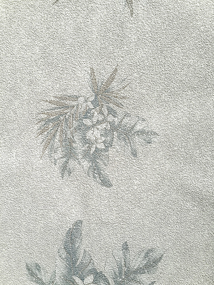 Caria Duvar Kağıdı 1401