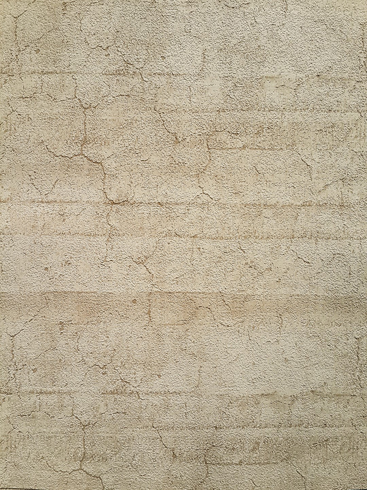 Caria Duvar Kağıdı 1436