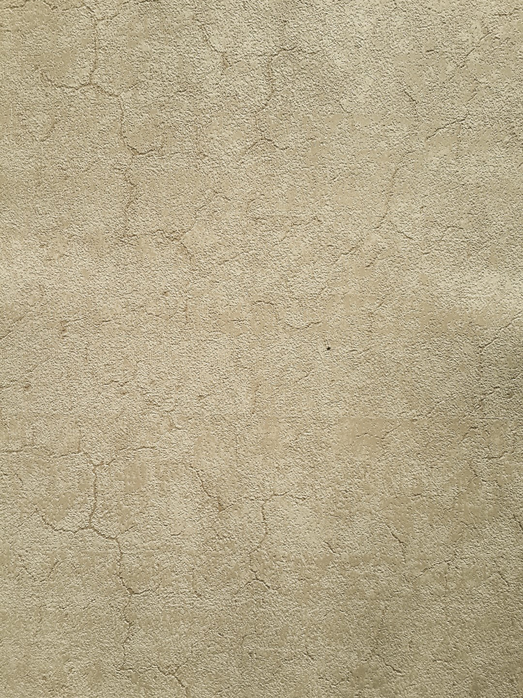 Caria Duvar Kağıdı 1441