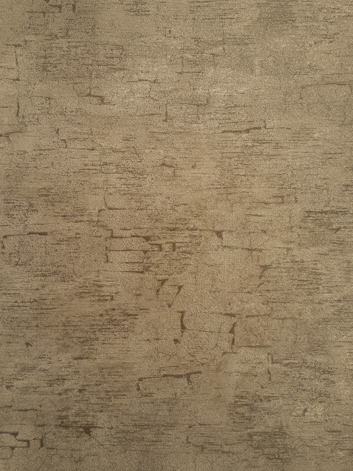 Caria Duvar Kağıdı 1464