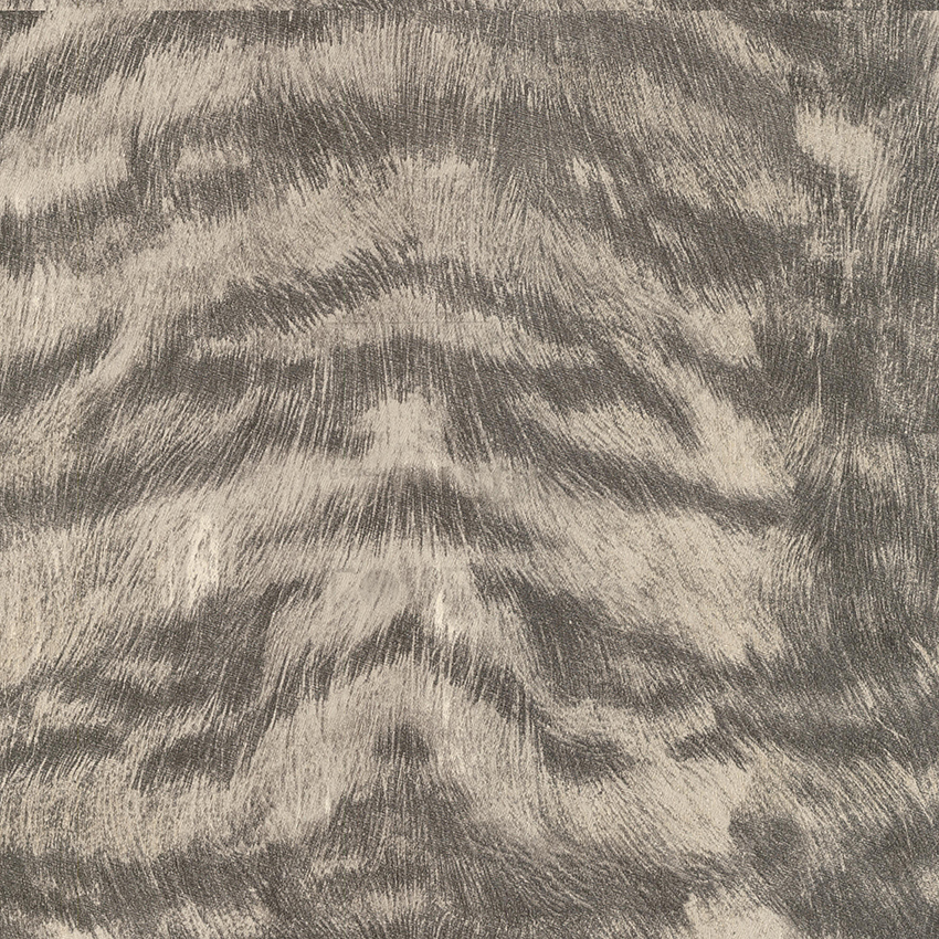 Loreana Duvar Kağıdı 1204