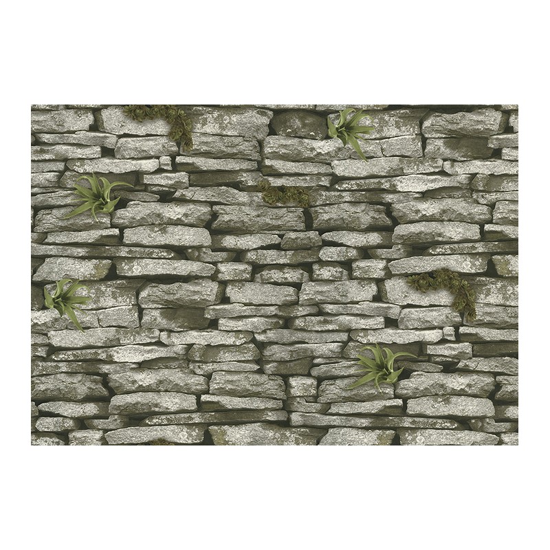 1-0487 LANİTA ROSS DUVAR KAĞIDI