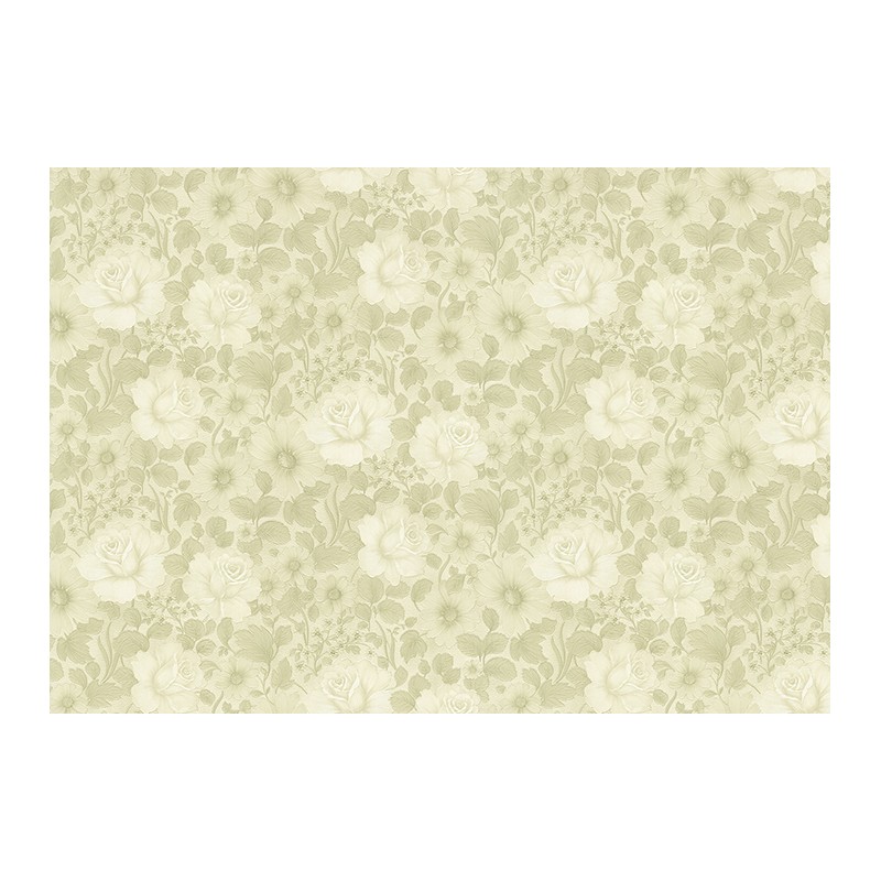 1-0487 LANİTA ROSS DUVAR KAĞIDI