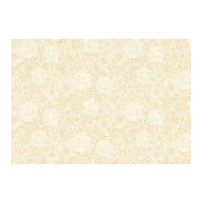 1-0487 LANİTA ROSS DUVAR KAĞIDI