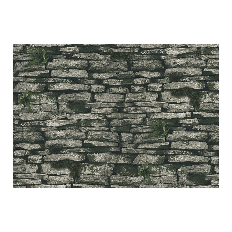 1-0487 LANİTA ROSS DUVAR KAĞIDI