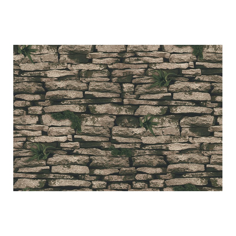 1-0487 LANİTA ROSS DUVAR KAĞIDI